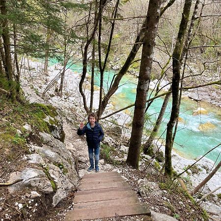 Apartmaji In Sobe Cuder Soča Eksteriør billede